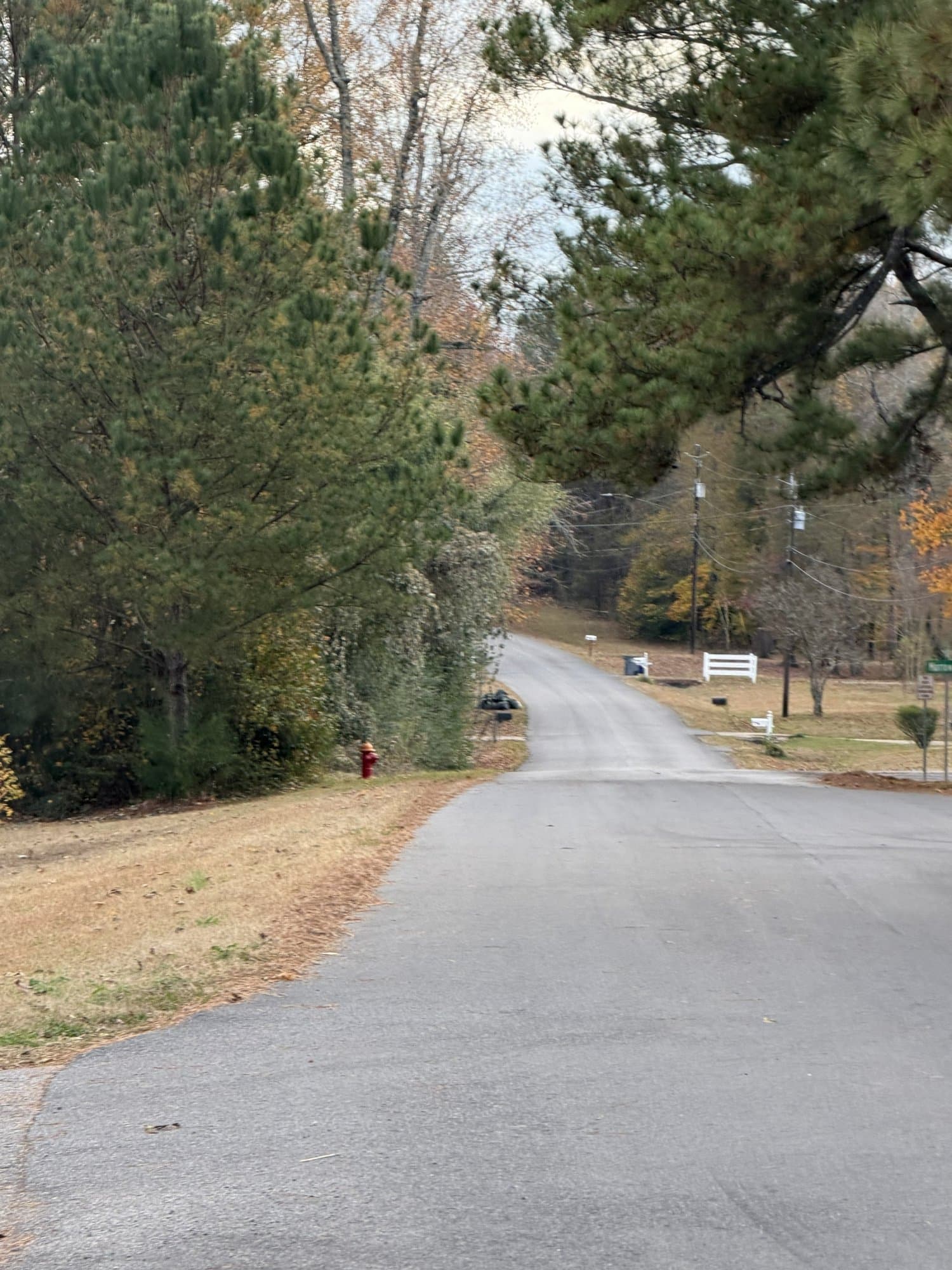 Longview